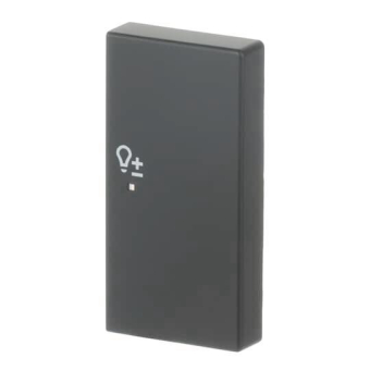 BJ Wippe/R 2f Dimmer schwarz 6234-22-885 