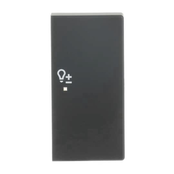 BJ Wippe/R 2f Dimmer schwarz 6234-22-885 