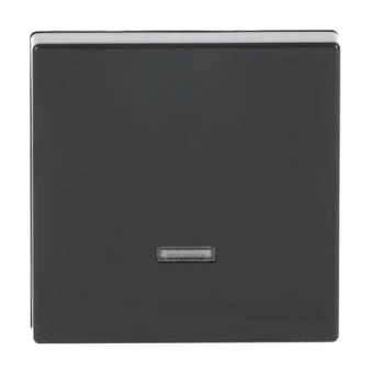 BJ solo Dimmer-Tastfläche    6543-81-101 