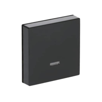 BJ solo Dimmer-Tastfläche    6543-81-101 