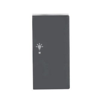 BJ Wippe rechts 2-fach,Symbol 6231-22-81 