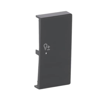 BJ Abdeckung 2fach Symbol     6234-22-81 