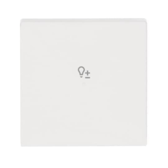 BJ Wippe 1f Dimmer matt      6234-10-884 