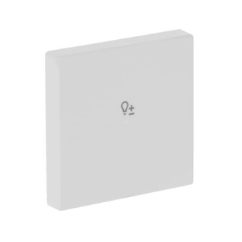 BJ Wippe 1f Dimmer matt      6234-10-884 