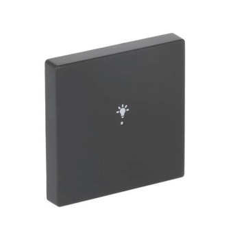 BJ Wippe 1f Licht schwarz    6231-10-885 