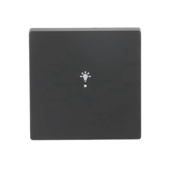 BJ Wippe 1f Licht schwarz    6231-10-885 