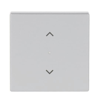 BJ Wippe 1fach Symbol         6232-10-83 