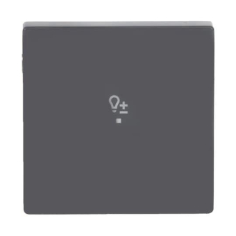 BJ Wippe 1-fach,Symbol Dimmer 6234-10-81 