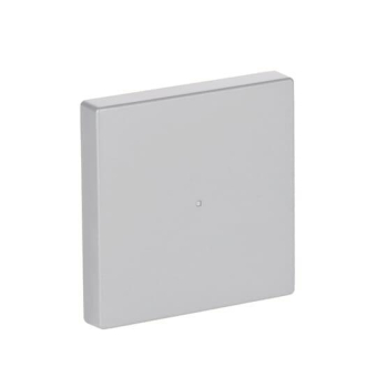 BJ Wippe 1fach                6230-10-83 