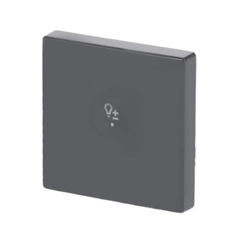 BJ Wippe 1-fach,Symbol Dimmer 6234-10-81 