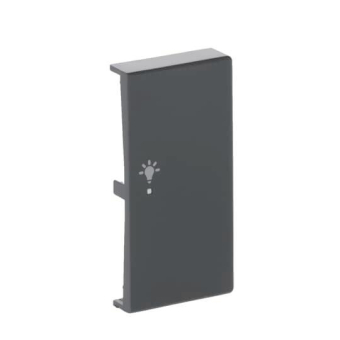 BJ Wippe rechts 2-fach,Symbol 6231-22-81 