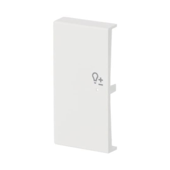 BJ Wippe/L 2f Dimmer matt    6234-21-884 
