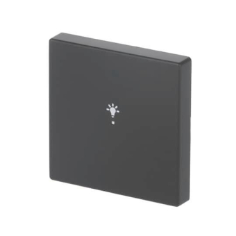 BJ Wippe 1f Licht schwarz    6231-10-885 