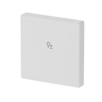 BJ Wippe 1f Dimmer matt      6234-10-884 
