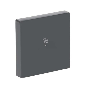BJ Wippe 1-fach,Symbol Dimmer 6234-10-81 