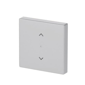 BJ Wippe 1fach Symbol         6232-10-83 