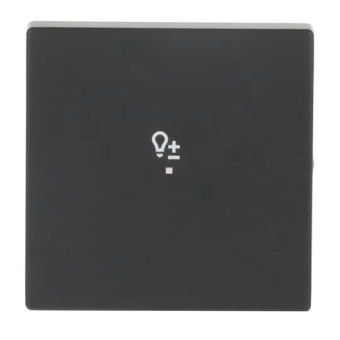 BJ Wippe 1f Dimmer schwarz   6234-10-885 