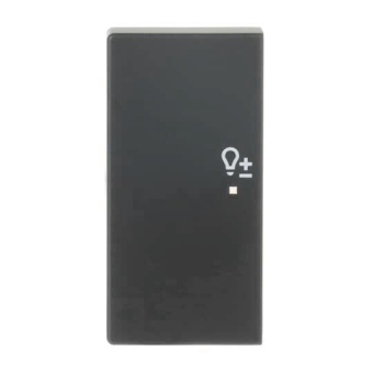 BJ Wippe/L 2f Dimmer schwarz 6234-21-885 