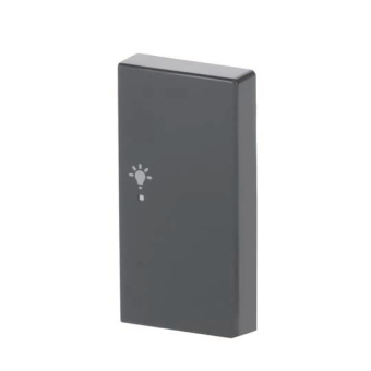 BJ Wippe rechts 2-fach,Symbol 6231-22-81 