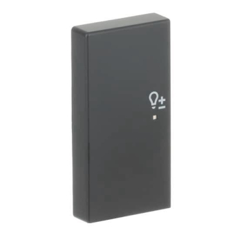 BJ Wippe/L 2f Dimmer schwarz 6234-21-885 