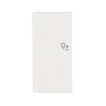 BJ Wippe/L 2f Dimmer matt    6234-21-884 