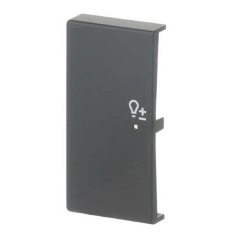 BJ Wippe/L 2f Dimmer schwarz 6234-21-885 