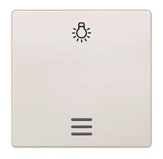 Siemens 5TG6206 DELTA i-system Wippe 