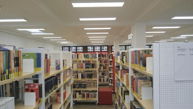 DOTLUX LED Panel FLATfrost   3571-1FW120 