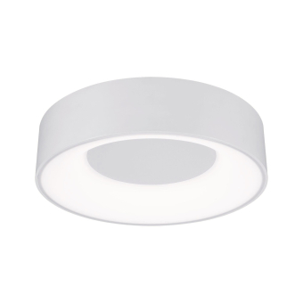 Paulmann WallCeiling HomeSpa Casca 78946 