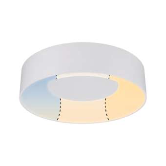 Paulmann WallCeiling HomeSpa Casca 78946 