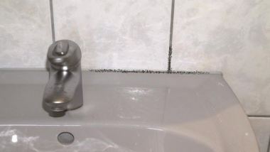 BEKO TecLine Schimmelentferner   2999500 