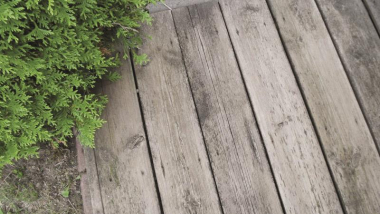 BEKO TecLine Holzreiniger      299181000 