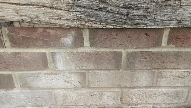 Beko TecLine Premium Reiniger  299511000 