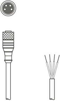 Leuze Anschlussleitung KD U-M8-4A-V1-050 