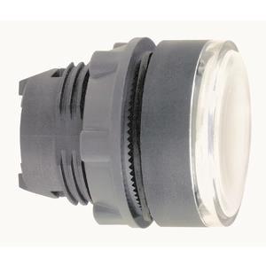 Schneider Drucktaster,       ZB5AHCUST04 