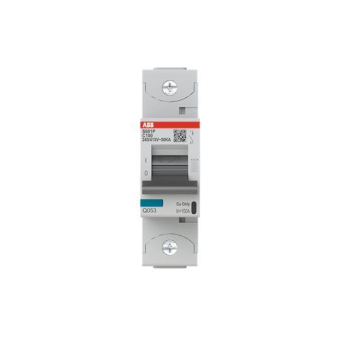 ABB Hochleis 2CCG001227R0001  S801P-C100 