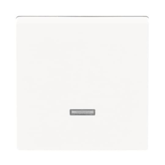 BJ carat Dimmer-Tastfläche   6543-84-101 