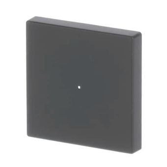 BJ Wippe 1f schwarz matt     6230-10-885 