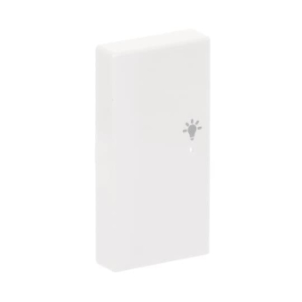 BJ Wippe links 2-fach Symbol  6231-21-84 