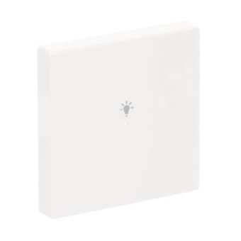 BJ Wippe 1-fach Symbol Licht  6231-10-84 