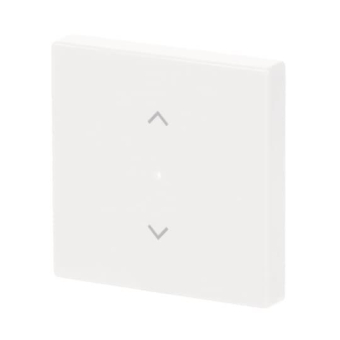 BJ Wippe 1-fach Symbol        6232-10-84 