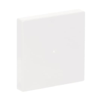 BJ Wippe 1-fach               6230-10-84 