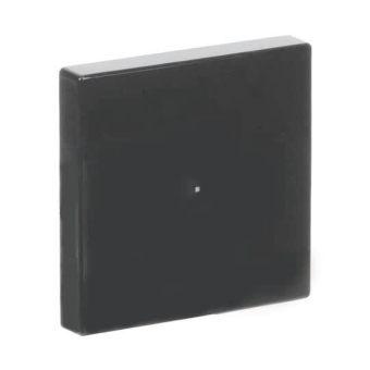 BJ Wippe 1-fach               6230-10-81 