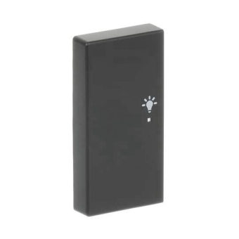 BJ Wippe/L 2f Licht schwarz  6231-21-885 