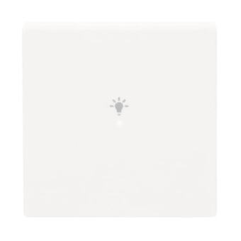 BJ Wippe 1-fach Symbol Licht  6231-10-84 