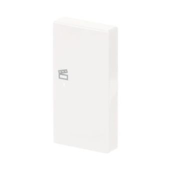 BJ Wippe rechts 2-fach Symbol 6233-22-84 