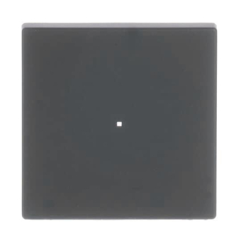 BJ Wippe 1f schwarz matt     6230-10-885 