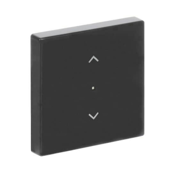 BJ Wippe 1-fach,Symbol        6232-10-81 