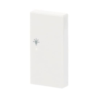 BJ Wippe rechts 2-fach Symbol 6231-22-84 