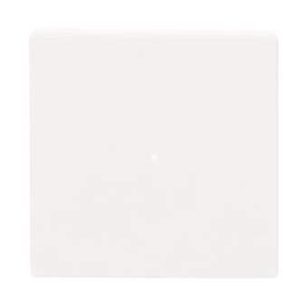 BJ Wippe 1-fach               6230-10-84 